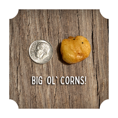 CRUNCHIN' CORN - "HOT HONEY"