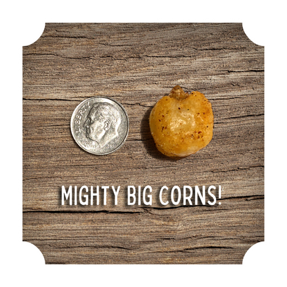 CRUNCHIN' CORN - "BBQ THROWDOWN"